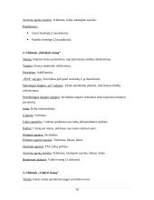 Eismo reguliavimo ir palaikymo sistema. Verslo modelis 18 puslapis