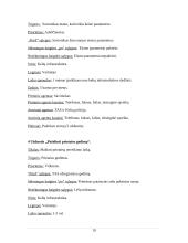 Eismo reguliavimo ir palaikymo sistema. Verslo modelis 19 puslapis