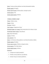 Eismo reguliavimo ir palaikymo sistema. Verslo modelis 20 puslapis