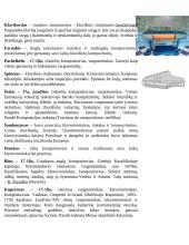 Muzikos terminų aiškinimas 2 puslapis