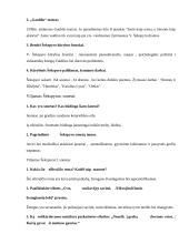 Geras literatūros konspektas 2 puslapis