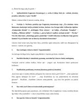 Geras literatūros konspektas 11 puslapis