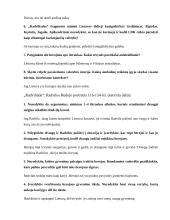 Geras literatūros konspektas 13 puslapis