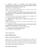 Geras literatūros konspektas 20 puslapis
