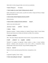 Geras literatūros konspektas 3 puslapis