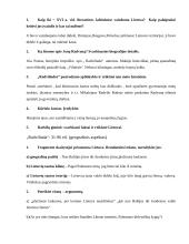 Geras literatūros konspektas 10 puslapis