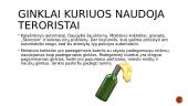 Apie terorizmą 6 puslapis
