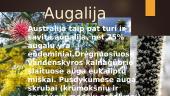 Informacija apie Australiją 5 puslapis