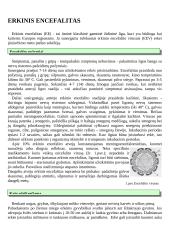 Erkių sukeliamos ligos 3 puslapis
