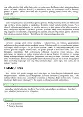 Erkių sukeliamos ligos 4 puslapis