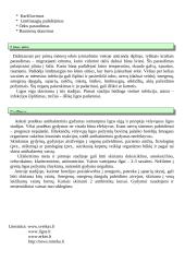 Erkių sukeliamos ligos 5 puslapis