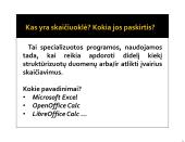 Kas yra skaičiuoklė? Kokia jos paskirtis? 2 puslapis