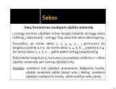 Kas yra skaičiuoklė? Kokia jos paskirtis? 19 puslapis