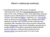 Bakterijos ir jų tipai 2 puslapis