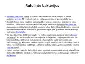 Bakterijos ir jų tipai 3 puslapis