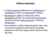 Bakterijos ir jų tipai 6 puslapis