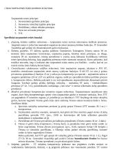 Tarptautinės teisės samprata, ypatybės 2 puslapis