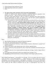 Tarptautinės teisės samprata, ypatybės 9 puslapis