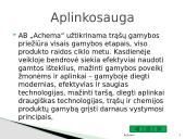 Kompanija "Achema" 12 puslapis