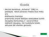 Kompanija "Achema" 14 puslapis