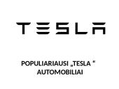 Tesla sėkmės istorija 9 puslapis