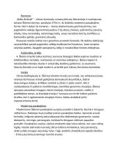 Lietuvių privalomosios literatūros kontekstai 6 puslapis