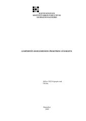 Gamybinės baigiamosios praktikos ataskaita: žemės sklypų geodeziniai matavimai UAB "Skirnuvos turto valdymas"