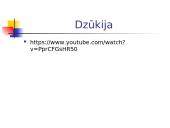 Lietuvos etnografiniai regionai ir jų folkloro ypatumai 11 puslapis