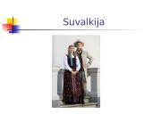 Lietuvos etnografiniai regionai ir jų folkloro ypatumai 16 puslapis