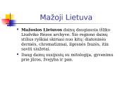 Lietuvos etnografiniai regionai ir jų folkloro ypatumai 20 puslapis