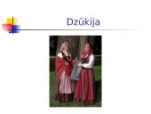 Lietuvos etnografiniai regionai ir jų folkloro ypatumai 8 puslapis