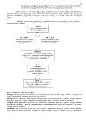 Genetiškai modifikuoti organizmai (GMO) 13 puslapis