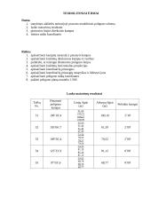 Geodezijos tyrimas 2 puslapis
