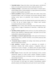 Kultūros įtaka komunikacijos procesui ir jo sėkmei 12 puslapis