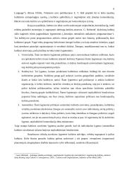 Kultūros įtaka komunikacijos procesui ir jo sėkmei 6 puslapis