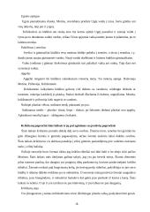 Gyvenimo ciklo papročiai: tradicijų kaita 4 puslapis