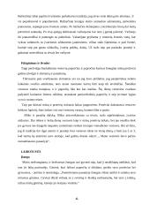 Gyvenimo ciklo papročiai: tradicijų kaita 7 puslapis