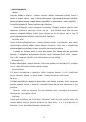 Gyvenimo ciklo papročiai: tradicijų kaita 8 puslapis