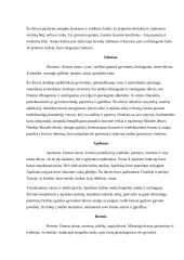 Graikų dievai mitologijoje 6 puslapis