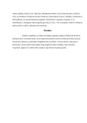 Graikų dievai mitologijoje 8 puslapis