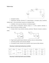 Laidininko savitosios varžos matavimas (Laboratorinis darbas) 2 puslapis