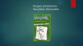 Knygos pristatymas: "Nevykelio dienoraštis"