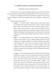 Įmonės, gaminančios alų, verslo organizavimo procesas 7 puslapis