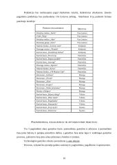 Įmonės, gaminančios alų, verslo organizavimo procesas 10 puslapis