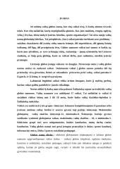 Individualus socialinės globos planas 2 puslapis