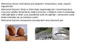 Przeszłość geologiczna 3 puslapis