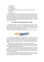 Internetinės paieškos sistemos 3 puslapis
