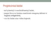 Galvos smegenų sandara ir kraujotaka 20 puslapis