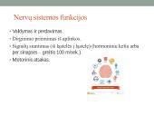 Galvos smegenų sandara ir kraujotaka 3 puslapis