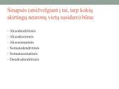 Galvos smegenų sandara ir kraujotaka 9 puslapis